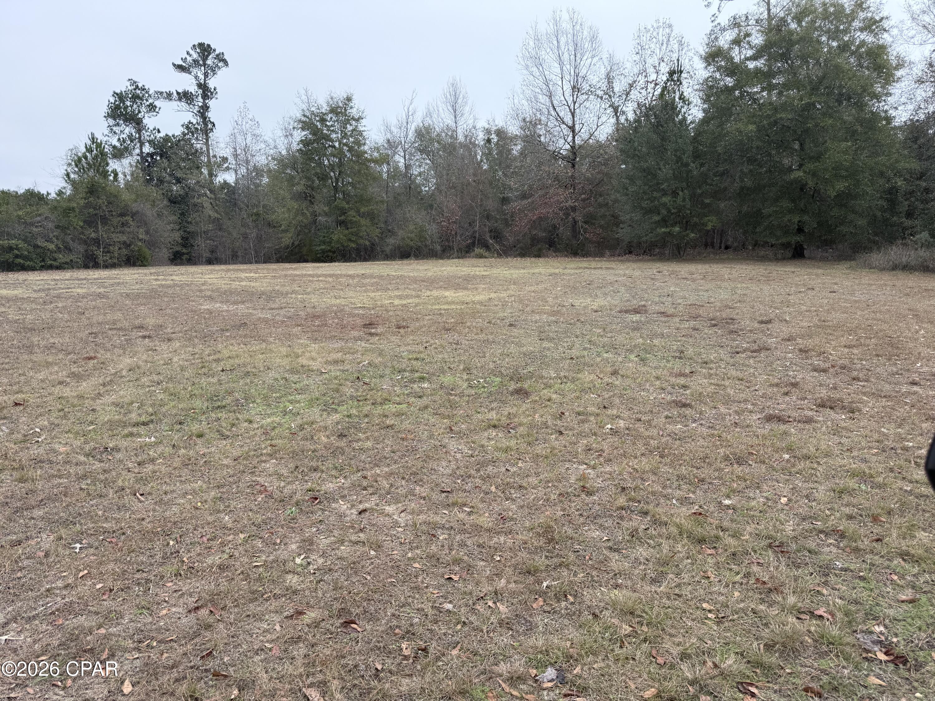 2054 Dairy Road Sneads, FL 32460 - Photo 2 of 3