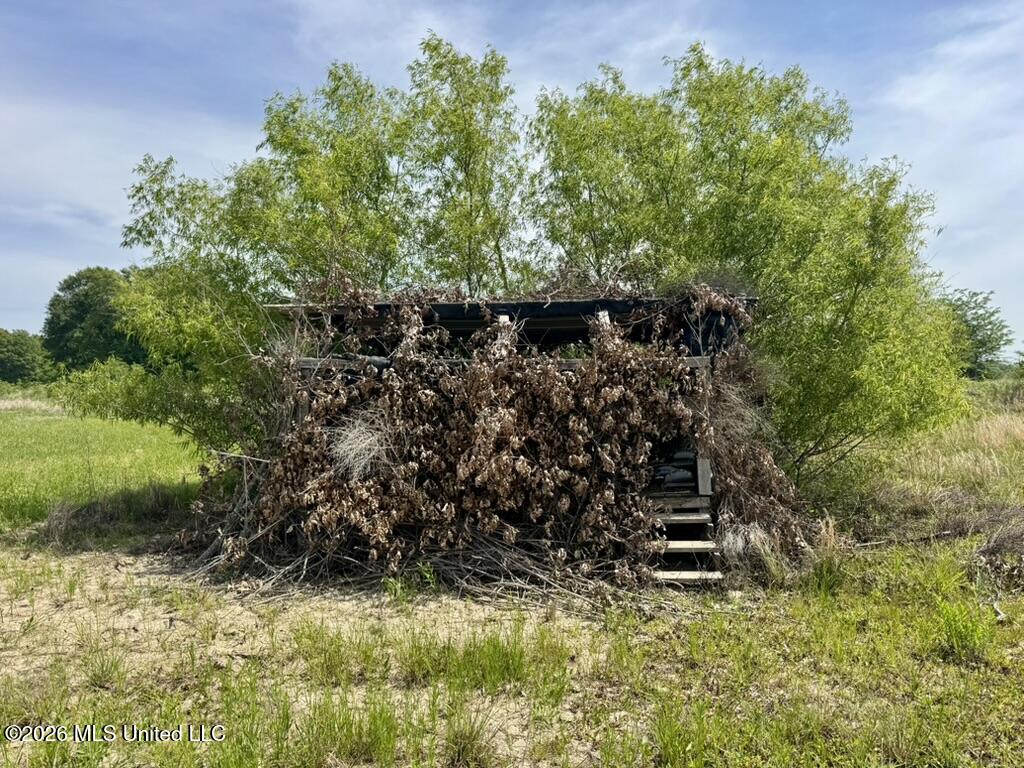 1 Highway 3 Lambert, MS 38643 - Photo 68 of 102 EE79963A-6466-44F9-AF2B-F5FB026D0B10_1_1