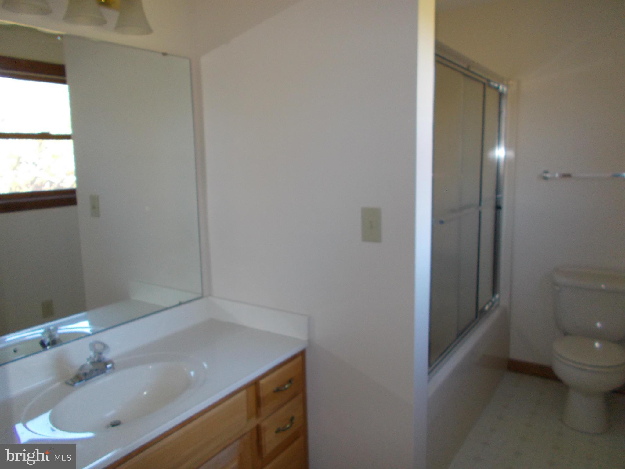 10945 Garrison Hollow Road Clear Spring, MD 21722 - Photo 22 of 30 Bath (Master)