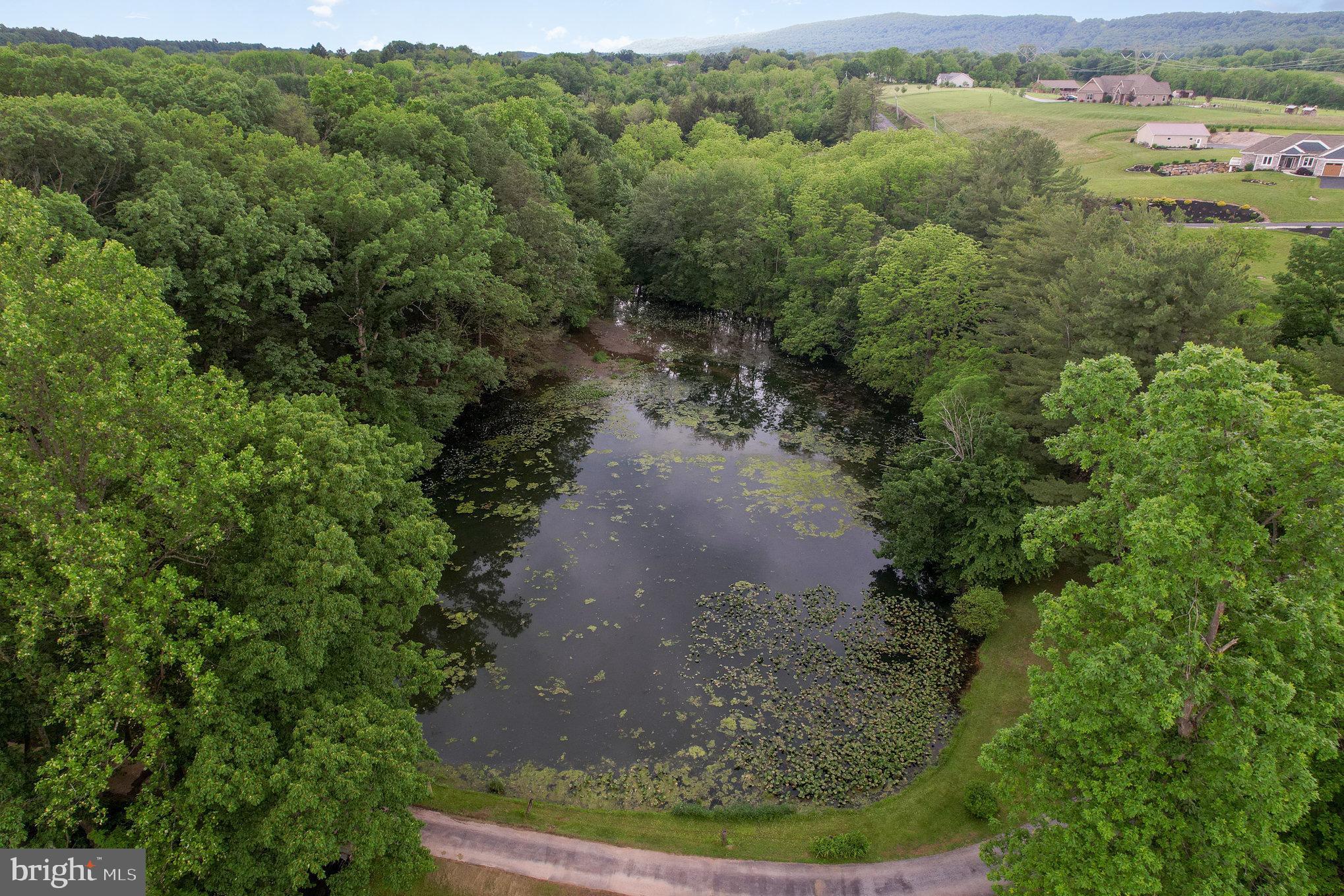 7653 Moyer Road Harrisburg, PA 17112 - Photo 3 of 78 Pond