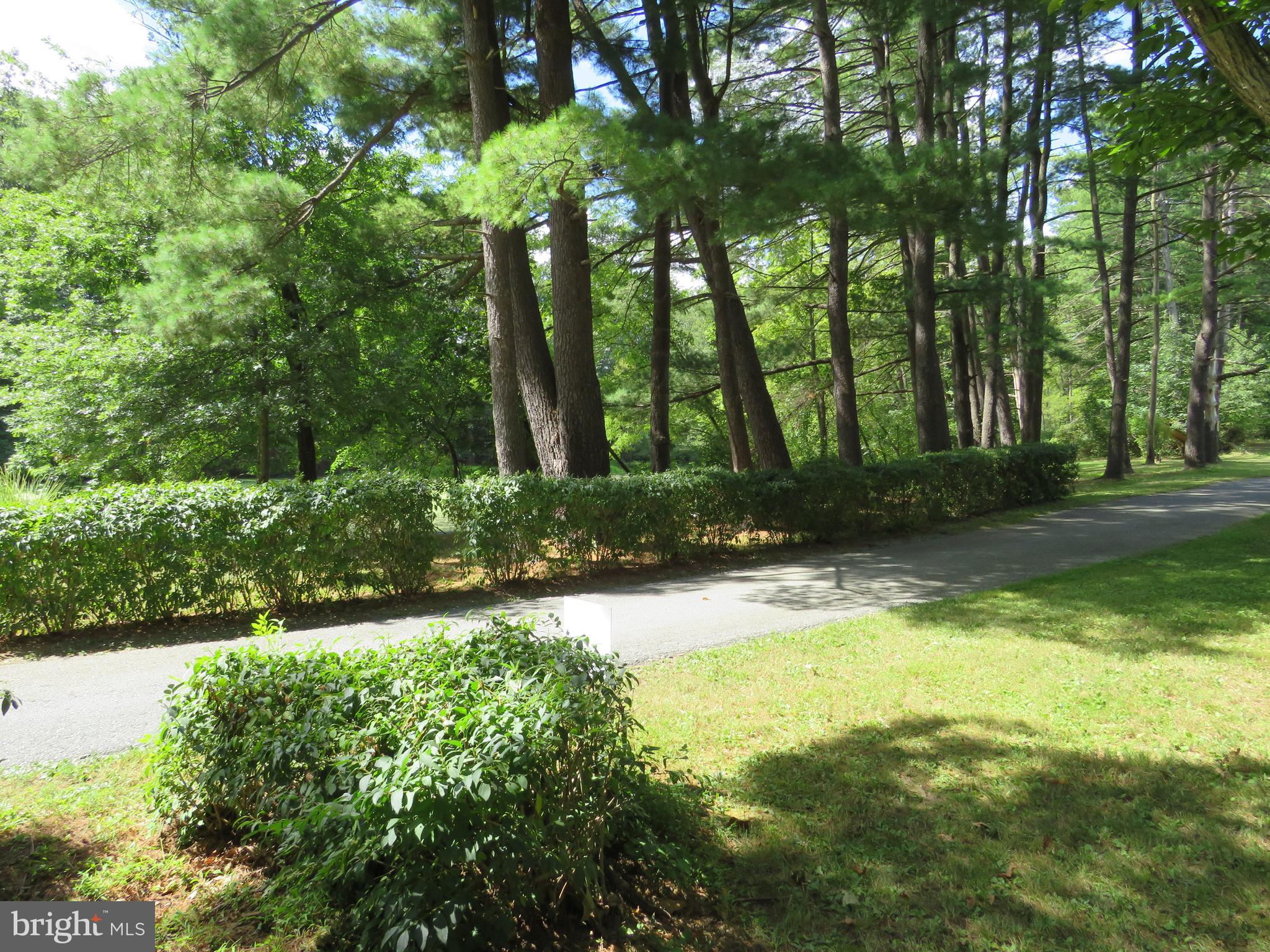 7653 Moyer Road Harrisburg, PA 17112 - Photo 44 of 78 Driveway