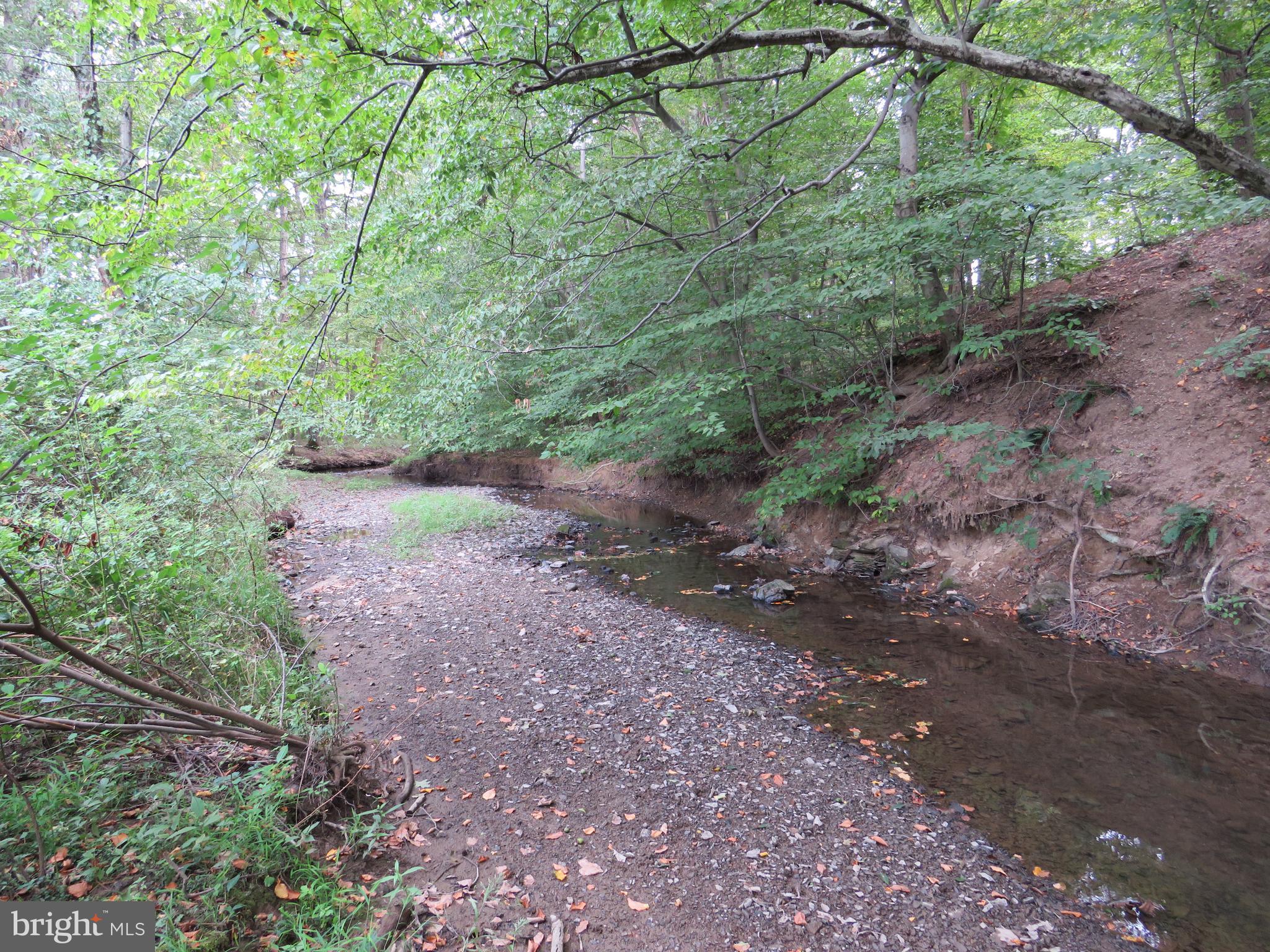7653 Moyer Road Harrisburg, PA 17112 - Photo 46 of 78 Walnut Run Creek