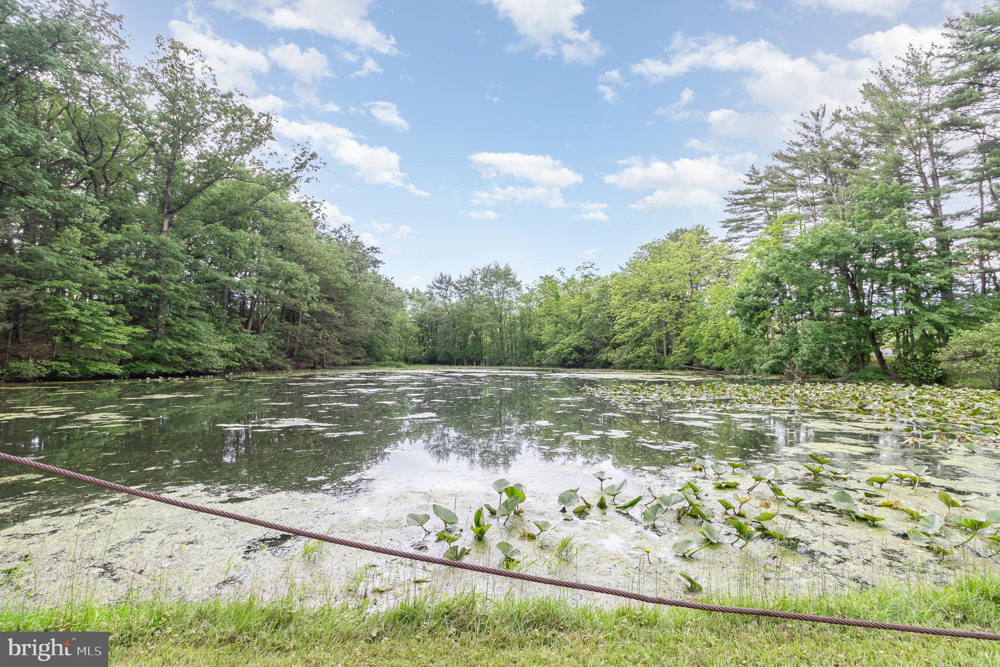 7653 Moyer Road Harrisburg, PA 17112 - Photo 5 of 78 Bring Your Fishing Pole