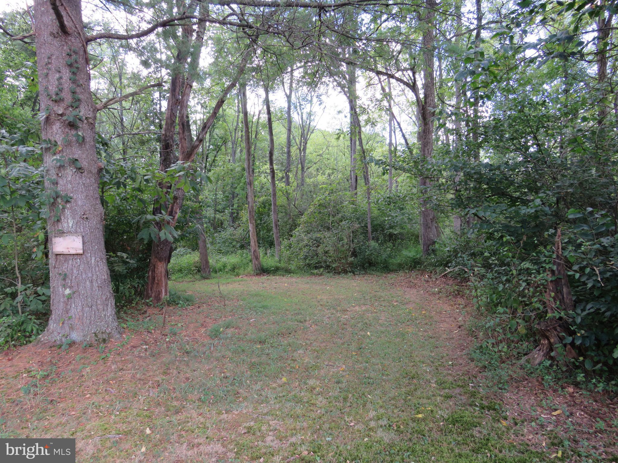 7653 Moyer Road Harrisburg, PA 17112 - Photo 60 of 78 Nature Retreat