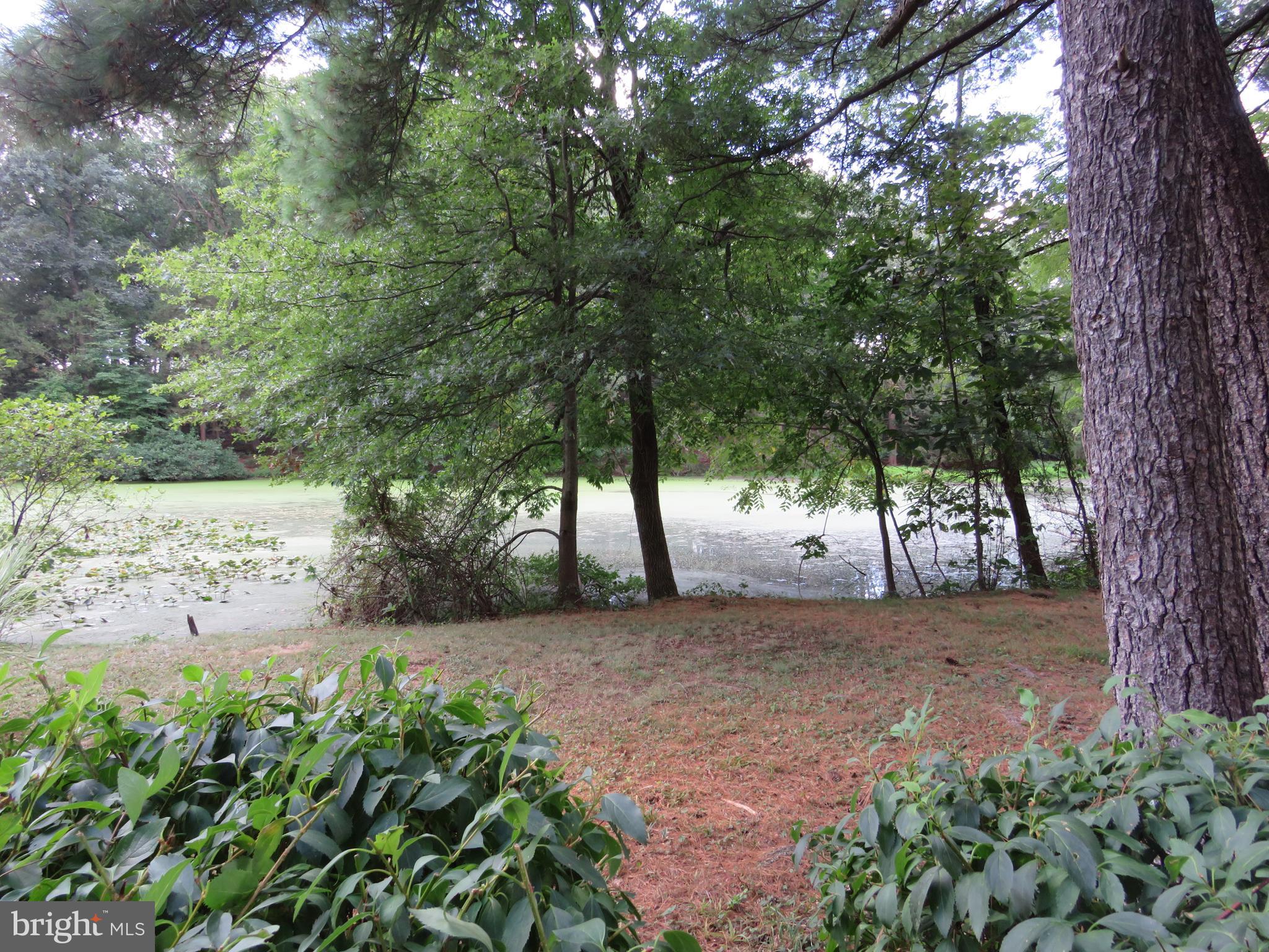 7653 Moyer Road Harrisburg, PA 17112 - Photo 62 of 78 Pond