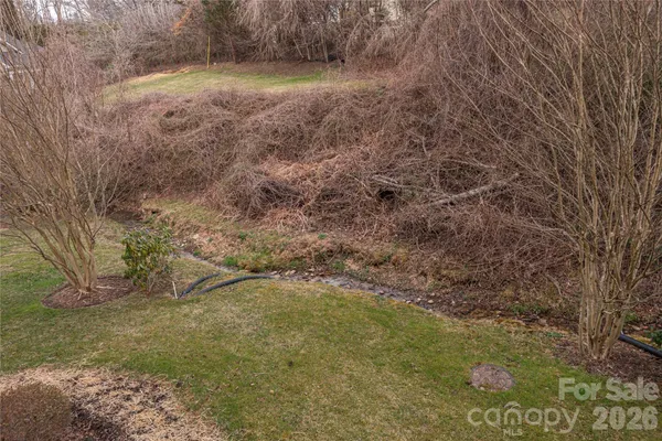 a view of a yard with a tree