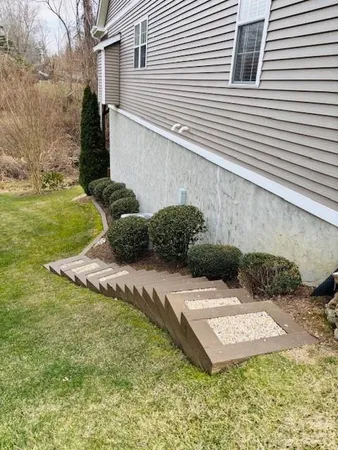 a view of a backyard with plants