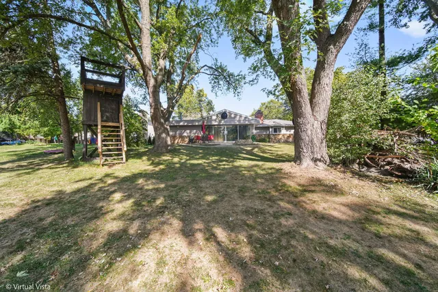 a view of a trees in a yard