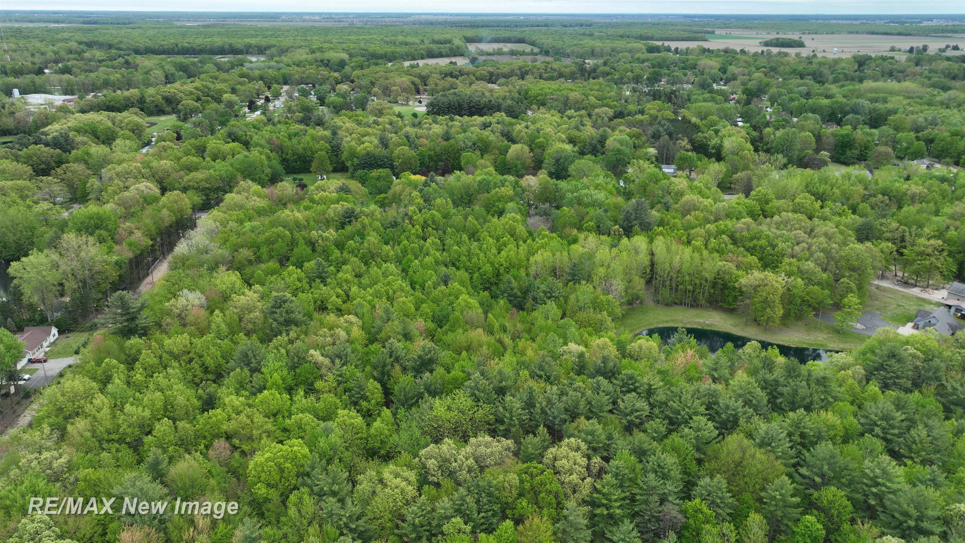 12000 West Townline Road St. Charles, MI 48655 - Photo 10 of 10