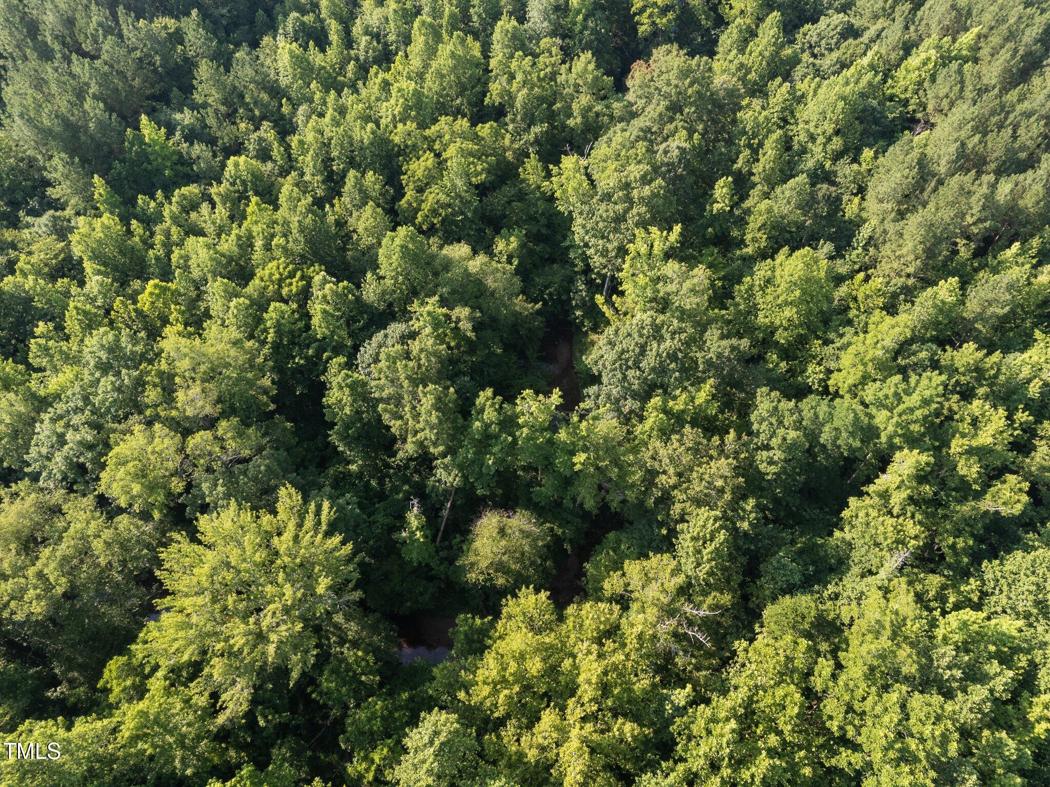 4710 Dorsey Road Oxford, NC 27565 - Photo 12 of 27 view of a lush green forest