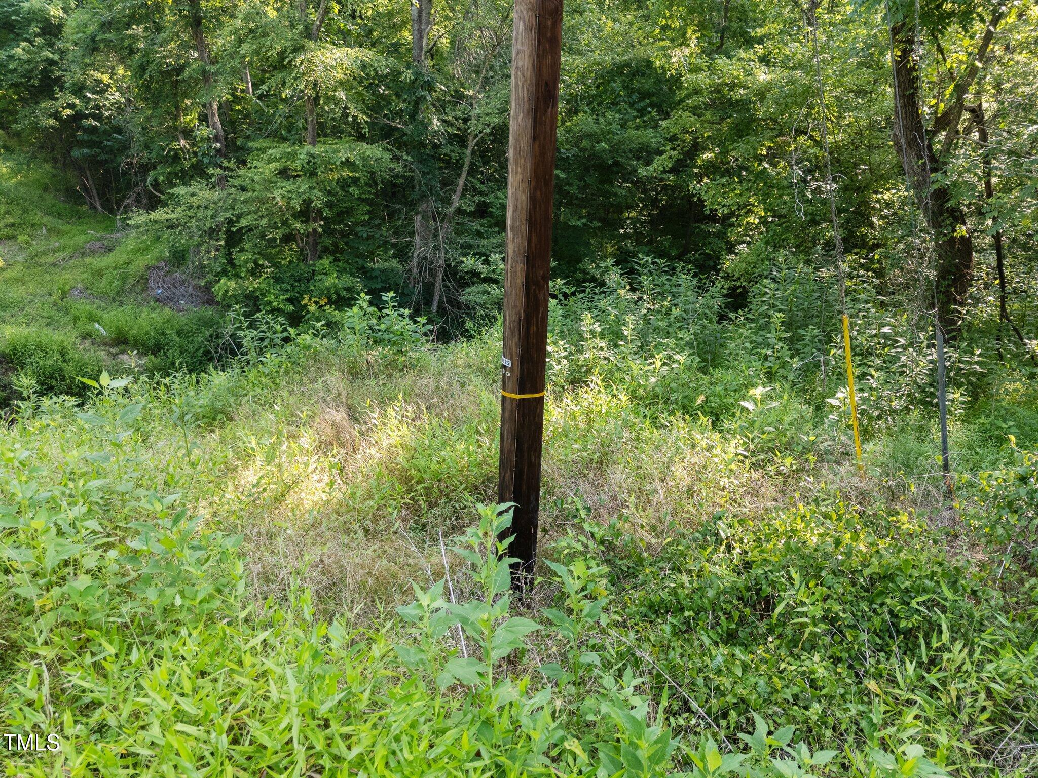 4710 Dorsey Road Oxford, NC 27565 - Photo 17 of 27 a view of forest