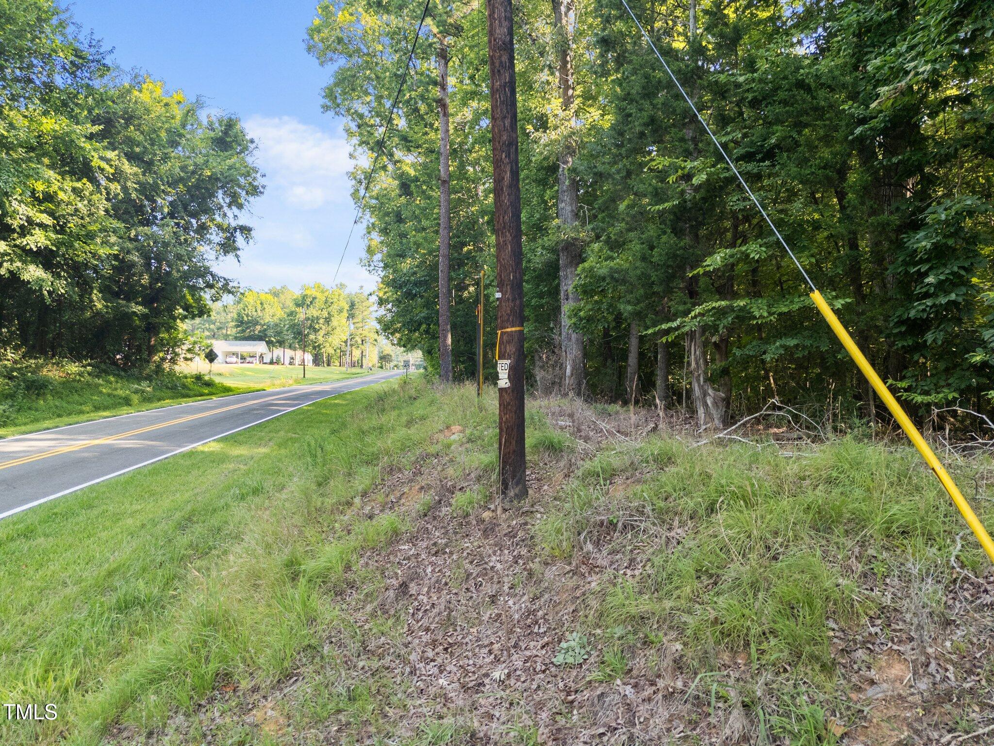 4710 Dorsey Road Oxford, NC 27565 - Photo 6 of 27 a view of a yard with plants and trees