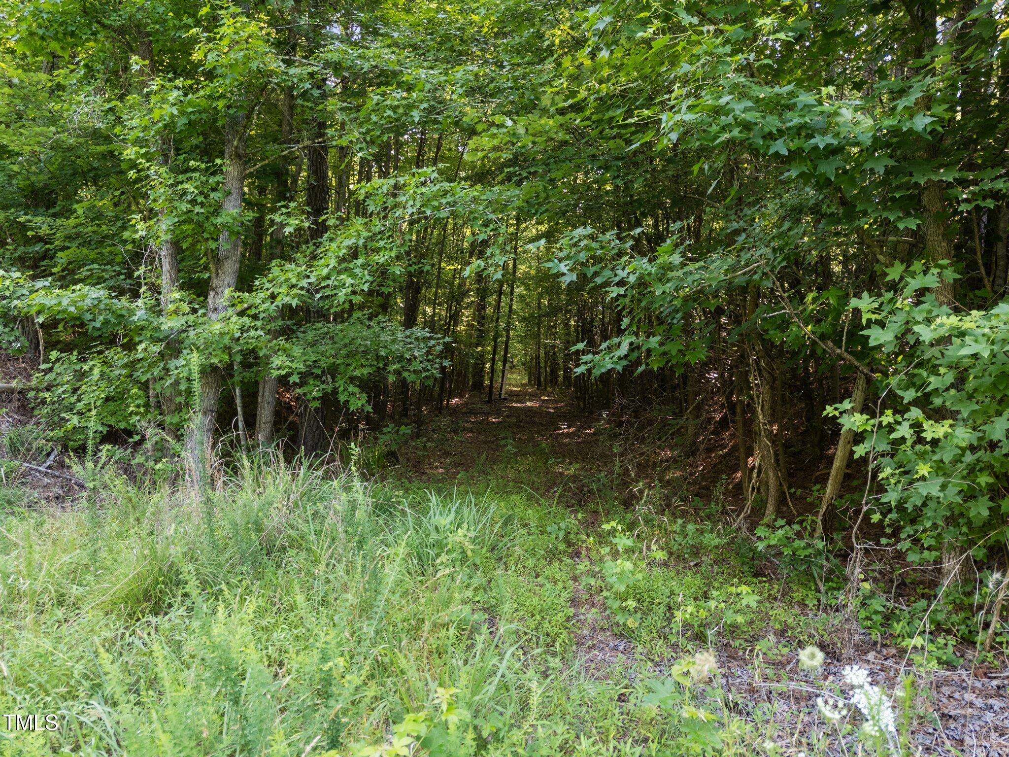 4710 Dorsey Road Oxford, NC 27565 - Photo 10 of 27 a view of outdoor space and a yard