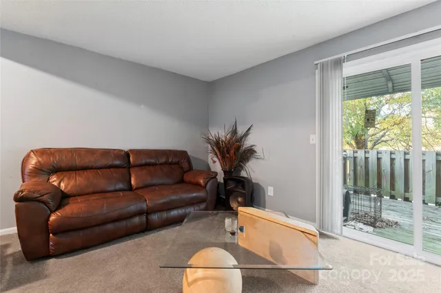 a living room with a couch and a potted plant