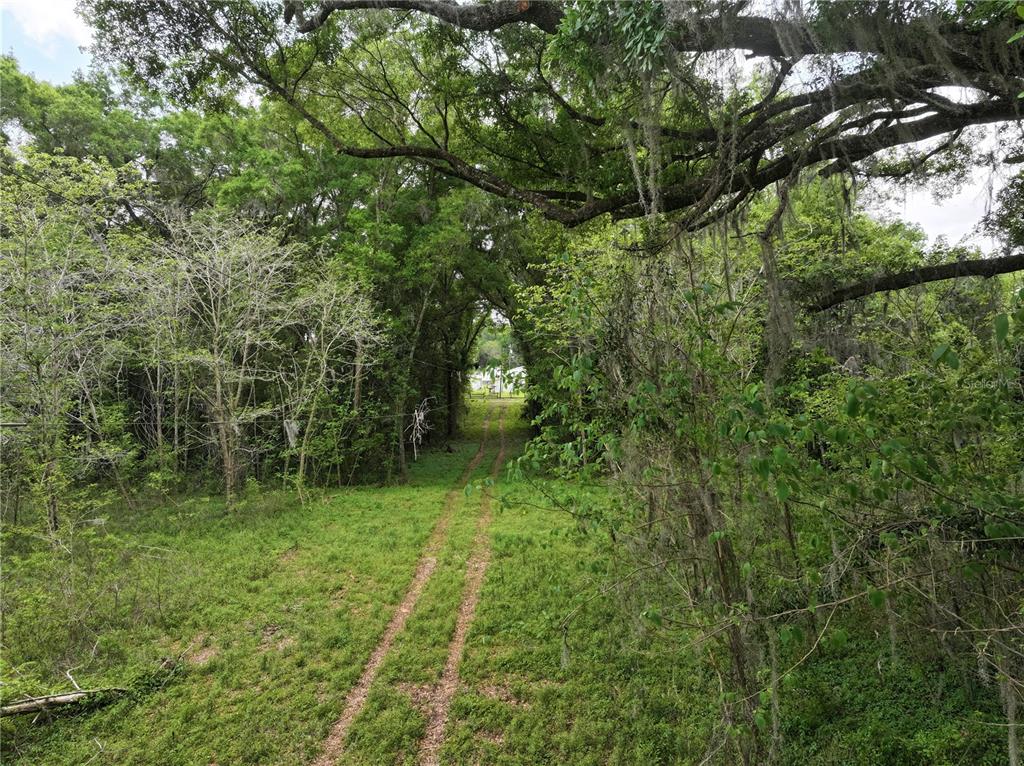 15825 Northwest 38th Avenue Reddick, FL 32686 - Photo 14 of 19