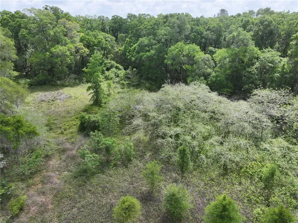 $38,500 | 15825 Northwest 38th Avenue, Reddick, FL 32686