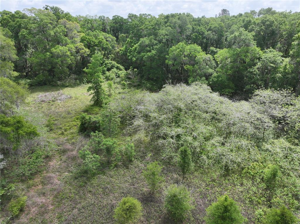 15825 Northwest 38th Avenue Reddick, FL 32686 - Photo 4 of 19