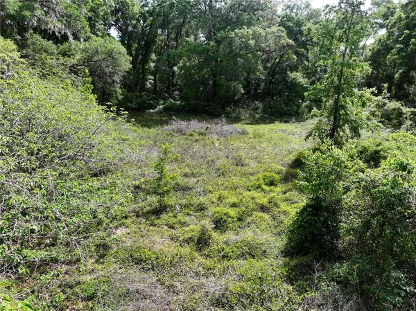 $38,500 | 15825 Northwest 38th Avenue, Reddick, FL 32686