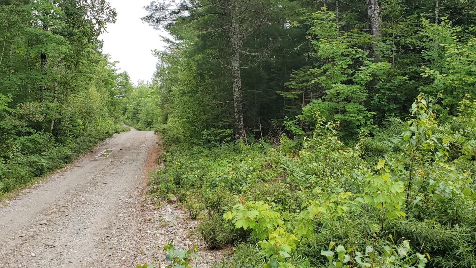Lot 6 82-06-0 Road Wesley, ME 04686 - Photo 8 of 10 20210715_114910 (1)