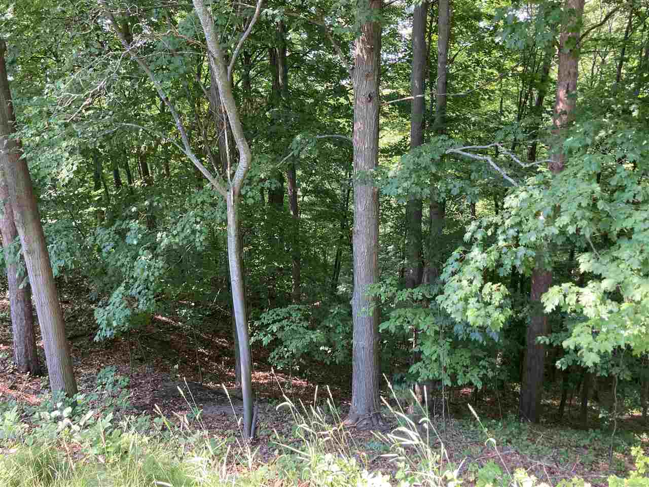 3755 Prouty Road Traverse City, MI 49686 - Photo 45 of 57 1887106-44.JPG