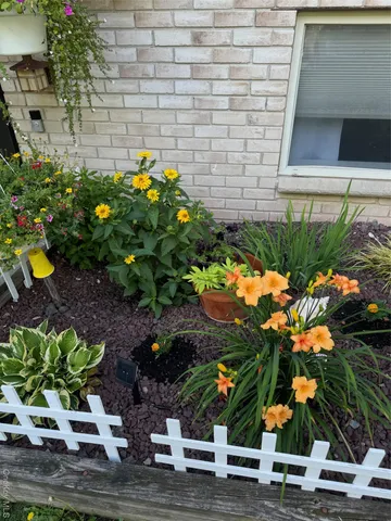 a plant that is in front of flowers