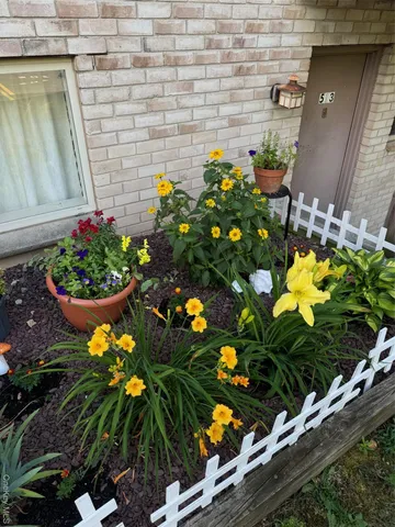 a plant is in a garden