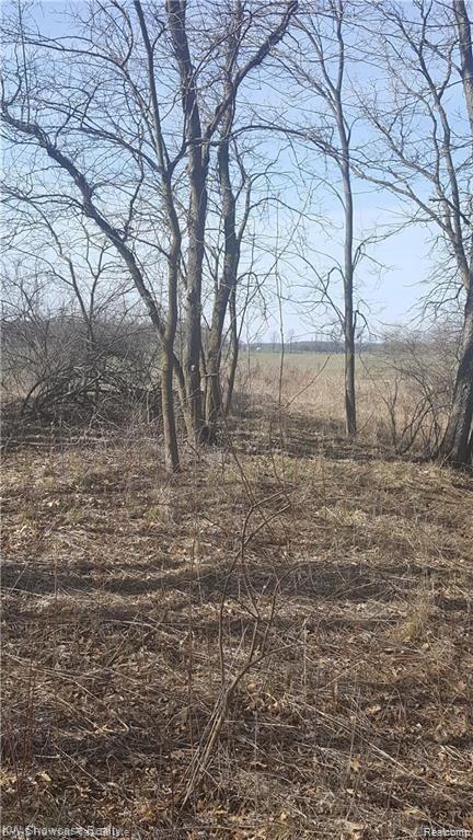 4949 Beard Road Byron, MI 48418 - Photo 1 of 3 Beard 1.jpeg