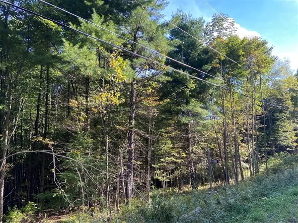 $12,000 | 251 Mountain Road, Windsor, NY 13865