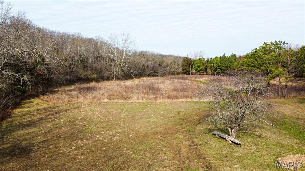 12278 Cedar Grove Road Rolla, MO 65401 - Photo 7 of 50