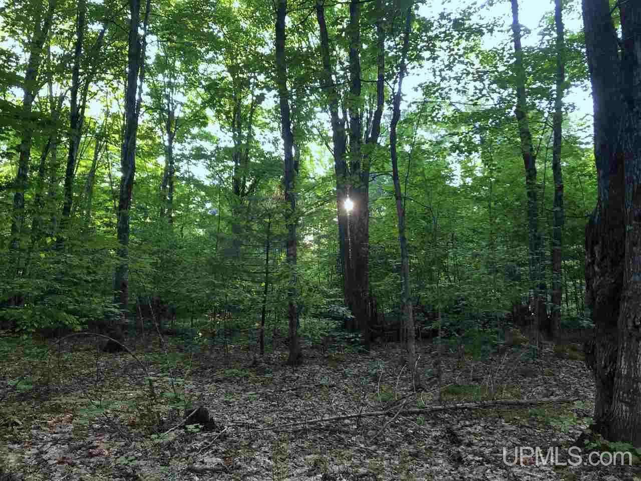 Tbd Tbd Eek Road Gwinn, MI 49841 - Photo 16 of 18