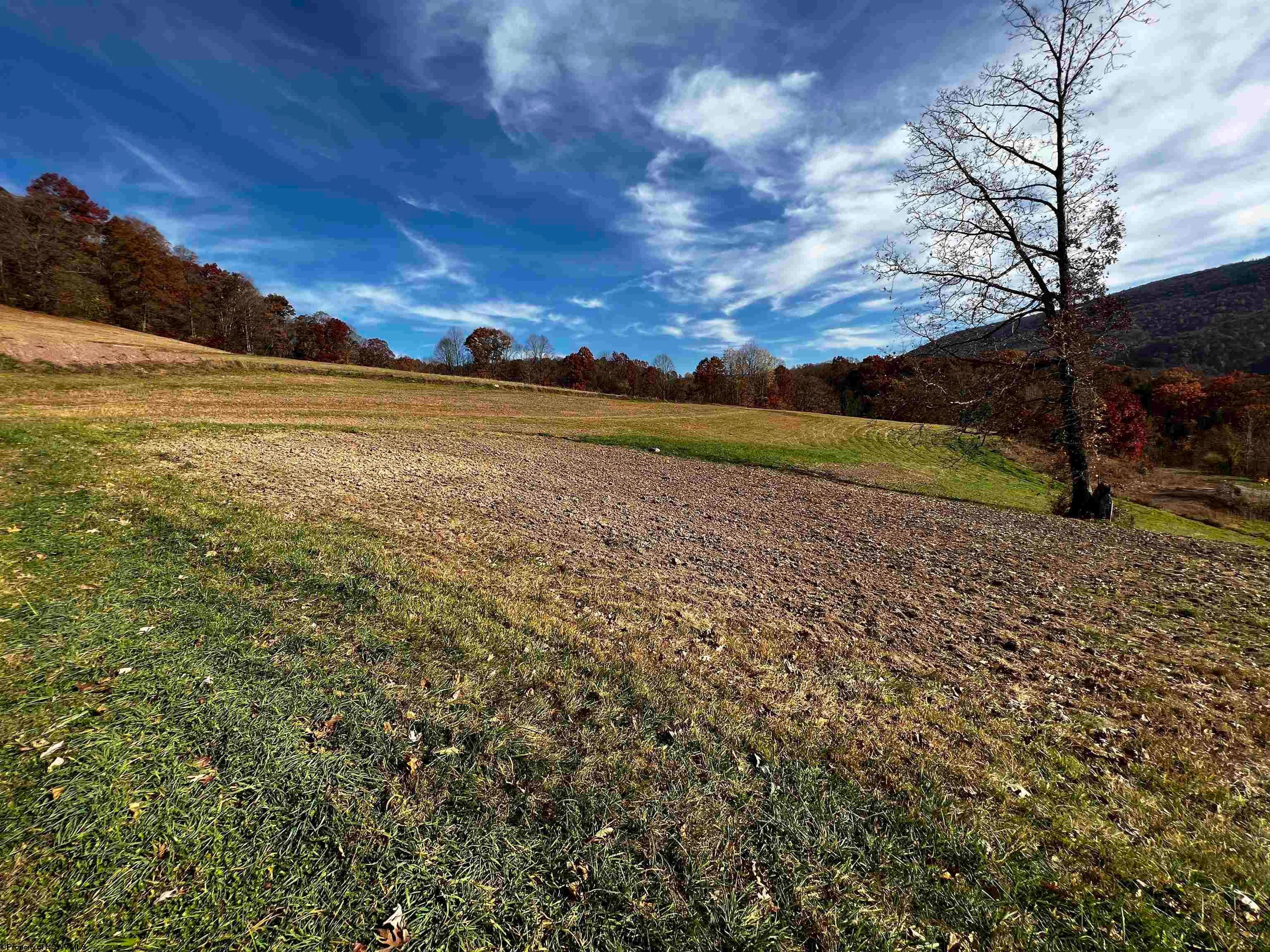 2878 Mackeyville Road Hambleton, WV 26269 - Photo 6 of 14 Gallery Image 6