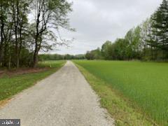 3072 Gun And Rod Club Road Houston, DE 19954 - Photo 9 of 27