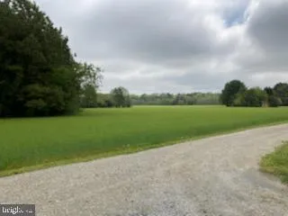 a view of a field and a big yard