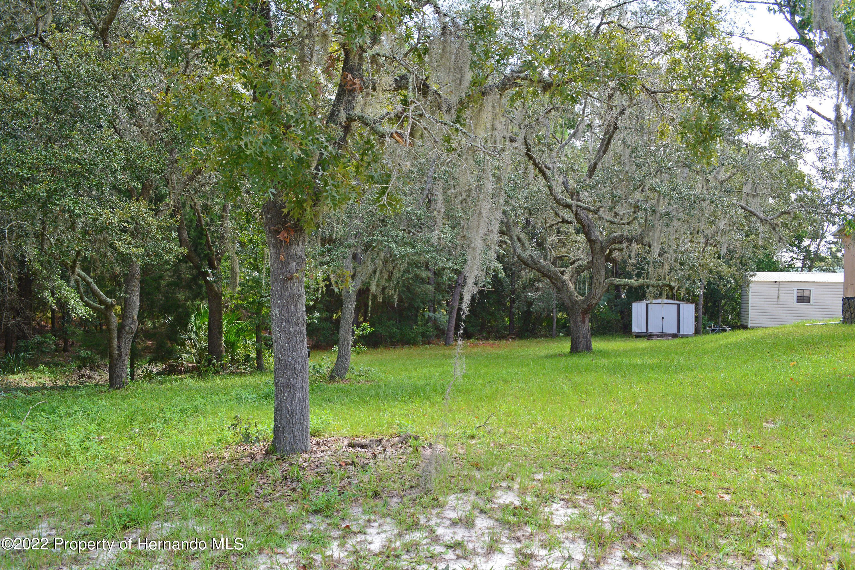 9477 Country Weeki Wachee, FL 34613 - Photo 15 of 48 DSC_3876_0806_edited-1