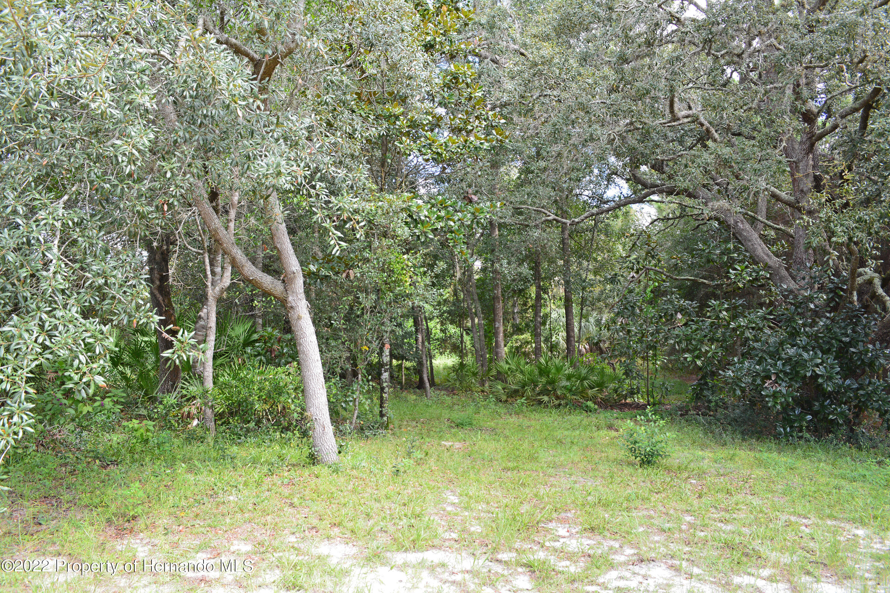 9477 Country Weeki Wachee, FL 34613 - Photo 17 of 48 DSC_3878_0808_edited-1