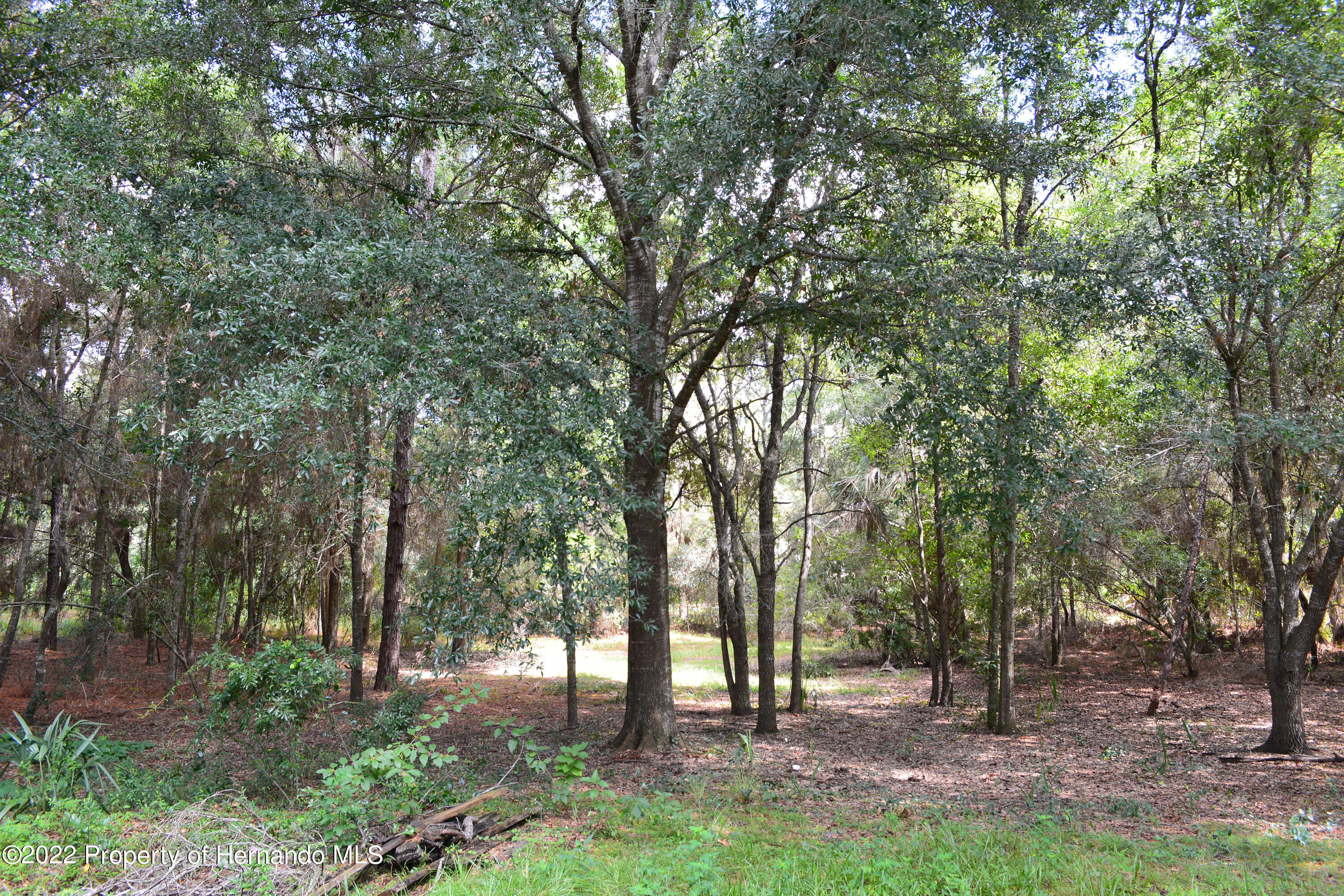 9477 Country Weeki Wachee, FL 34613 - Photo 19 of 48 DSC_3881_0811_edited-1