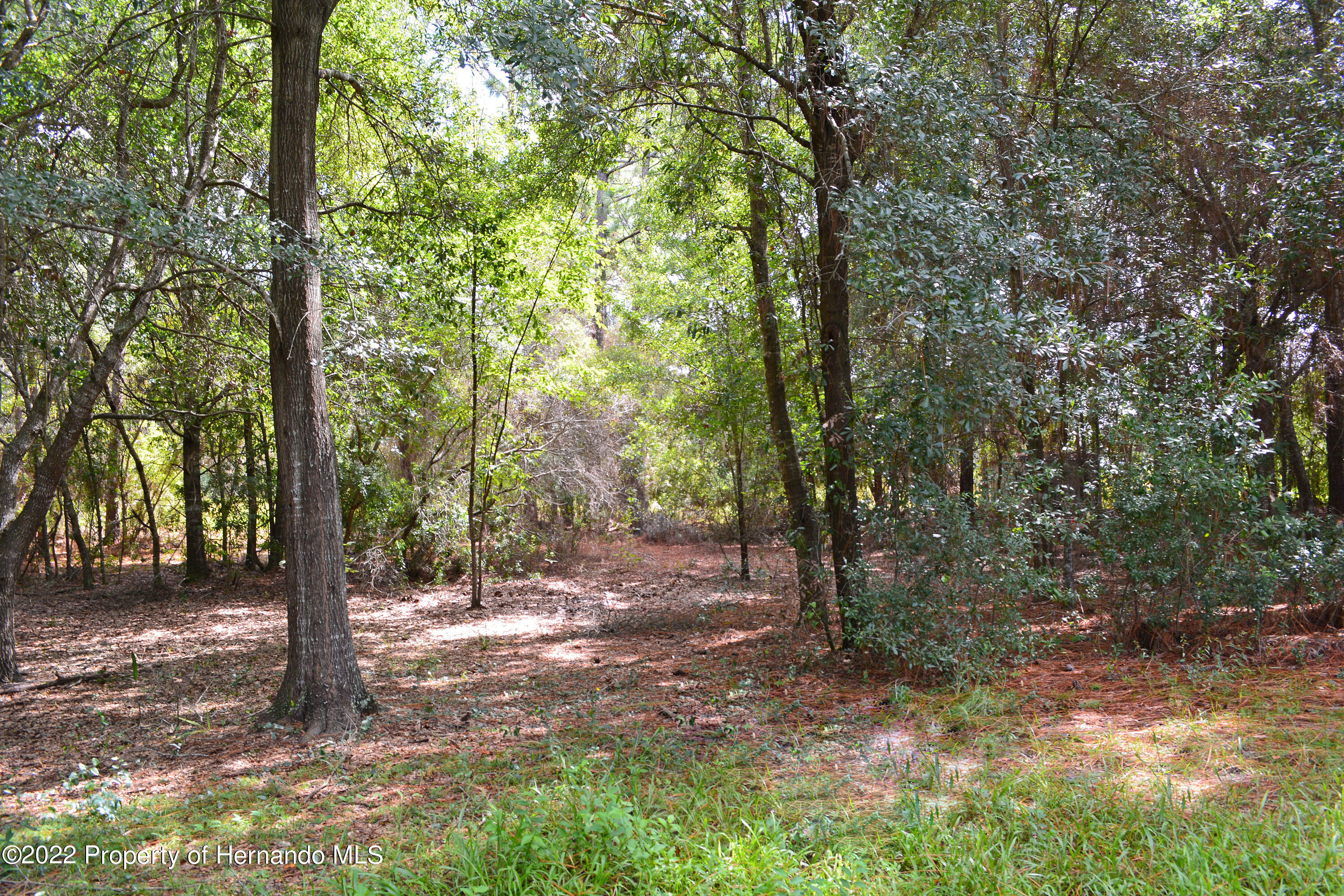 9477 Country Weeki Wachee, FL 34613 - Photo 20 of 48 DSC_3883_0813_edited-1