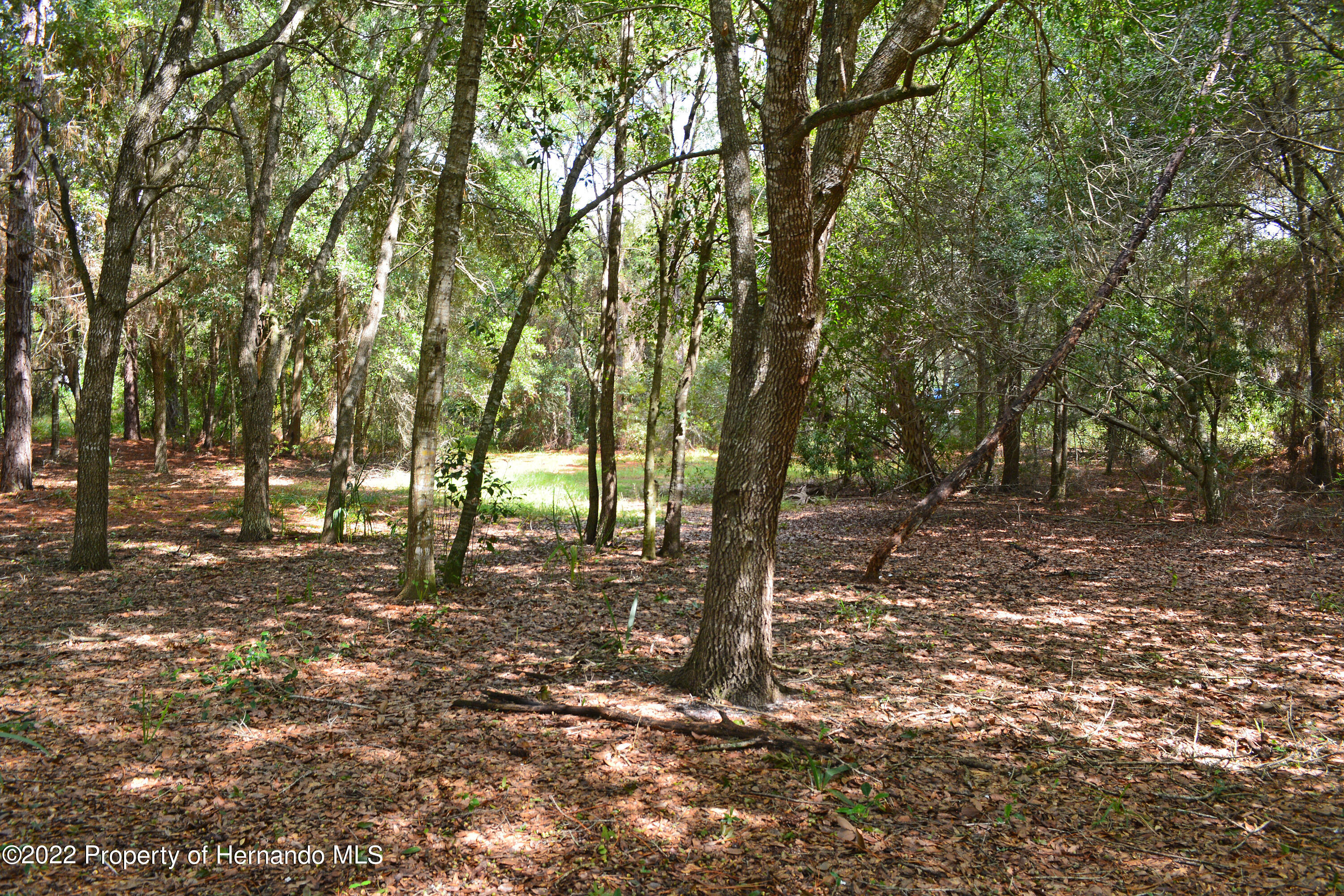 9477 Country Weeki Wachee, FL 34613 - Photo 21 of 48 DSC_3887_0817_edited-1