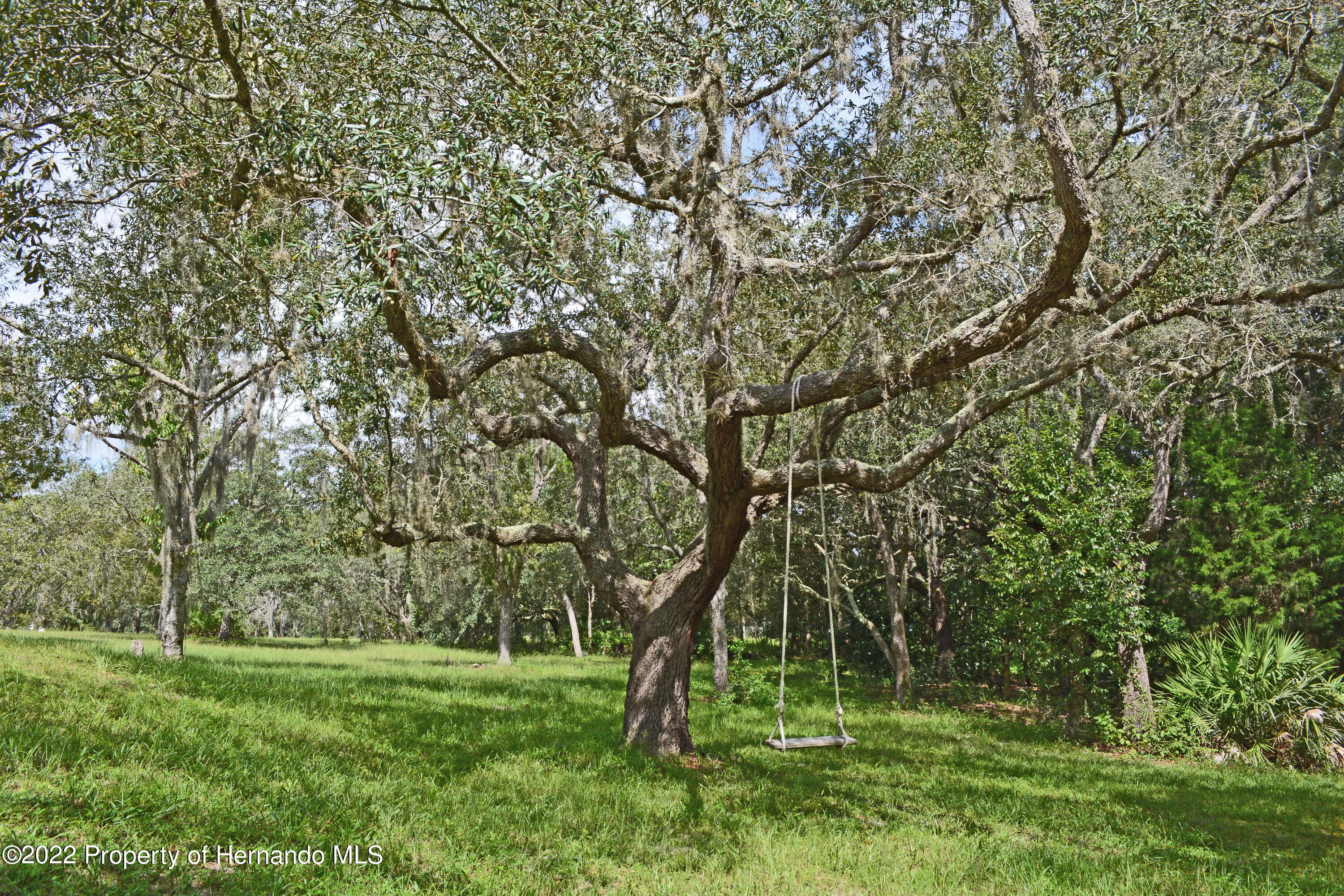 9477 Country Weeki Wachee, FL 34613 - Photo 23 of 48 DSC_3890_0820_edited-1