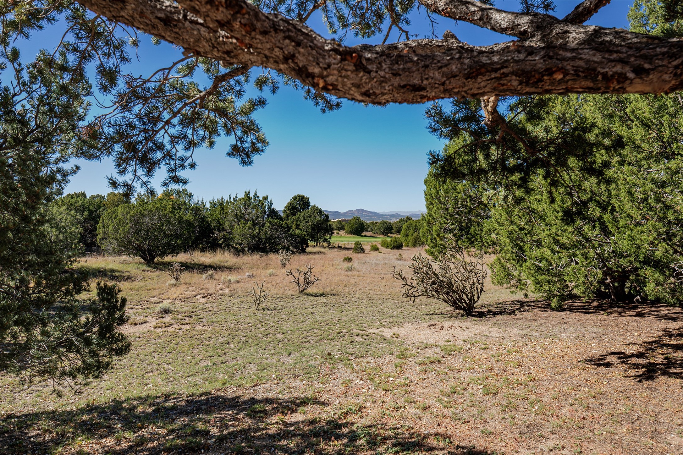 76 Amberwood Loop Santa Fe, NM 87506 - Photo 48 of 61