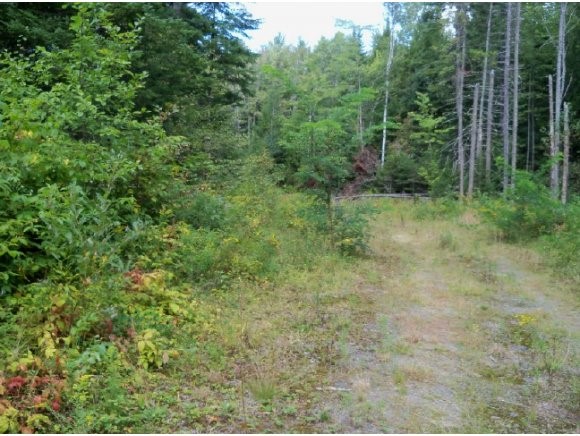 Union Road Dalton, NH 03598 - Photo 1 of 1