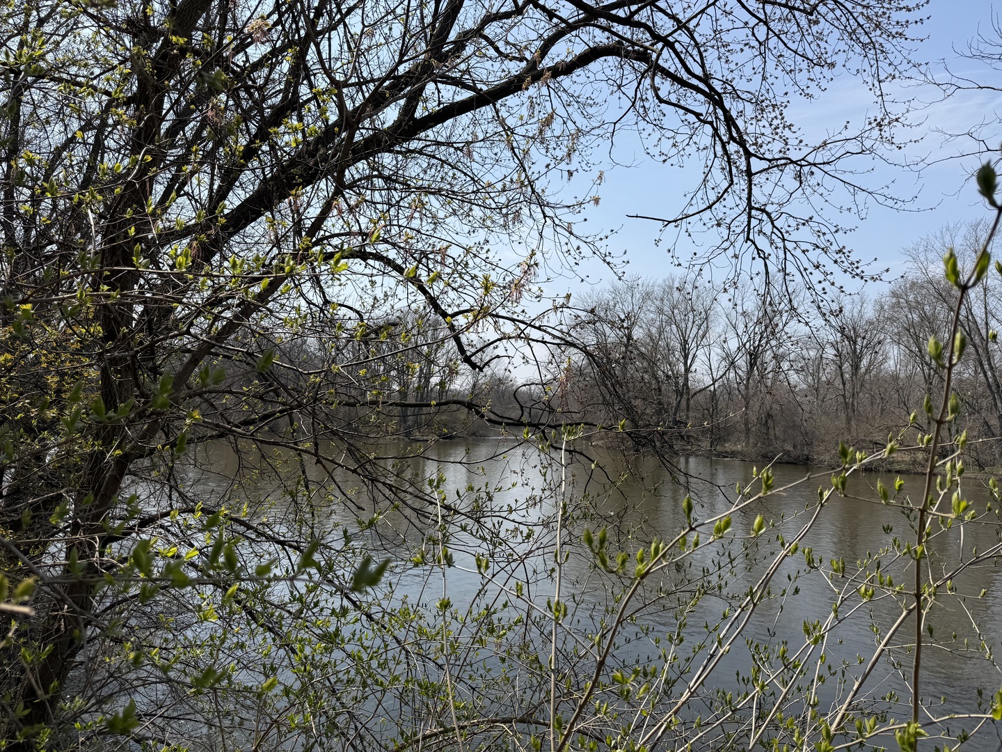 123 West Benton Street Oswego, IL 60543 - Photo 11 of 16 a backyard of a house with lots of green space