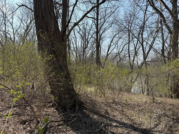 $850,000 | 123 West Benton Street, Oswego, IL 60543