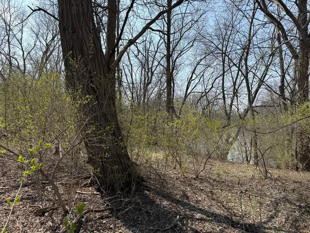 a backyard of a house with lots of green space