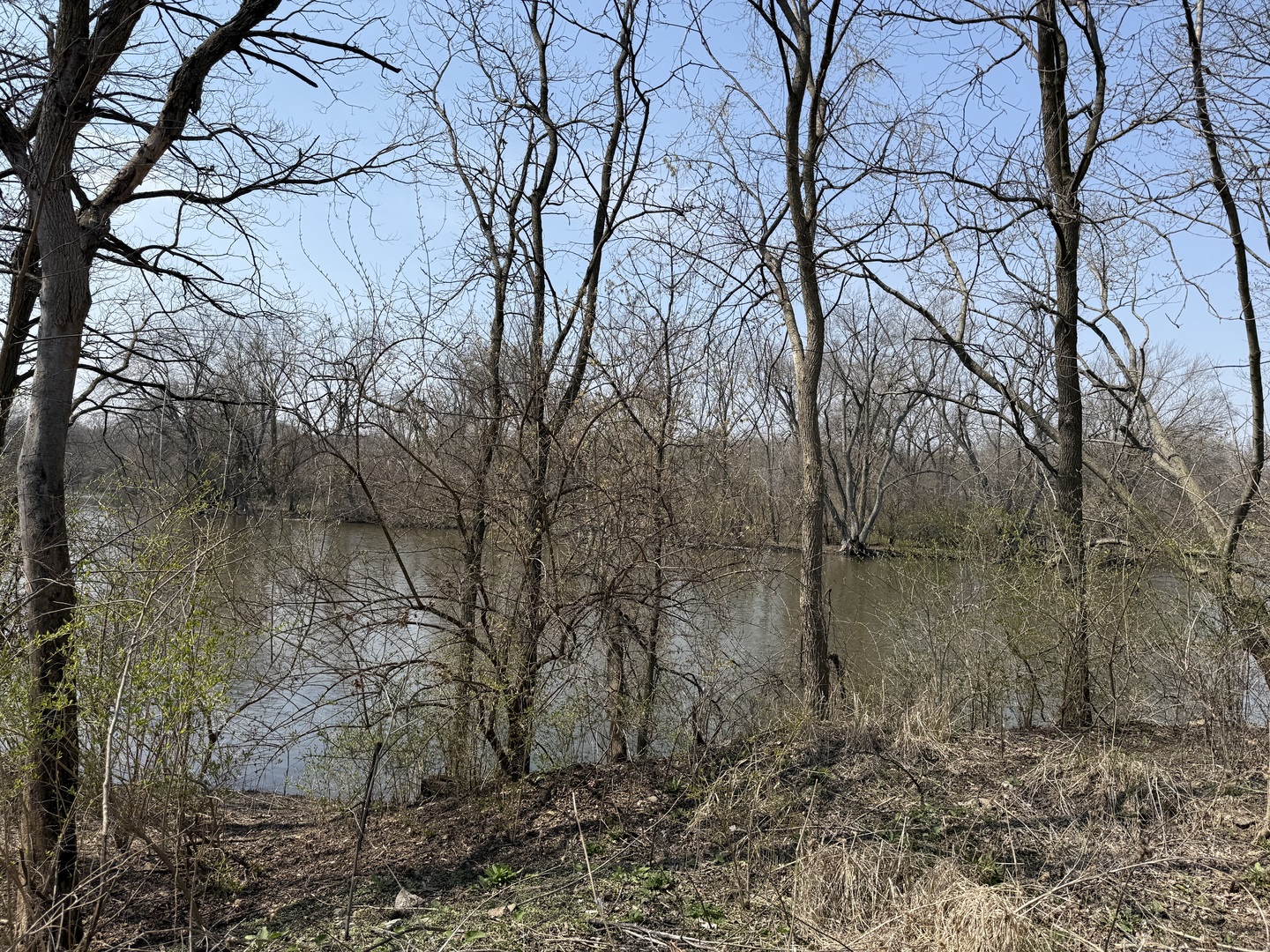 123 West Benton Street Oswego, IL 60543 - Photo 8 of 16 a backyard of a house with lots of green space