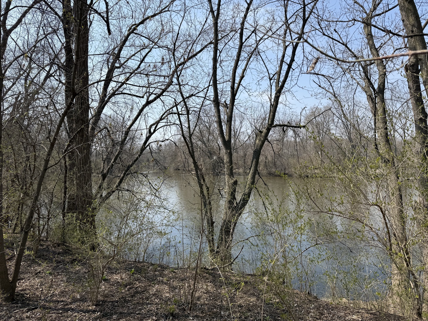 123 West Benton Street Oswego, IL 60543 - Photo 9 of 16 a backyard of a house with lots of green space