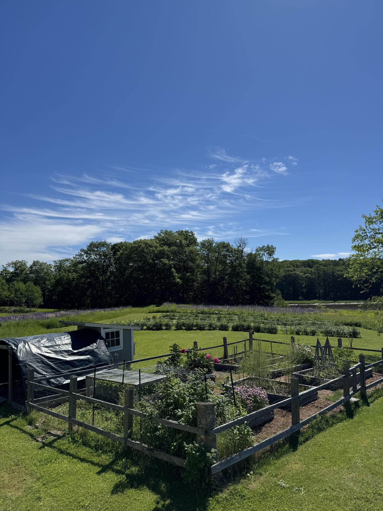 26 Martin Road Alna, ME 04535 - Photo 100 of 101 Fenced Garden