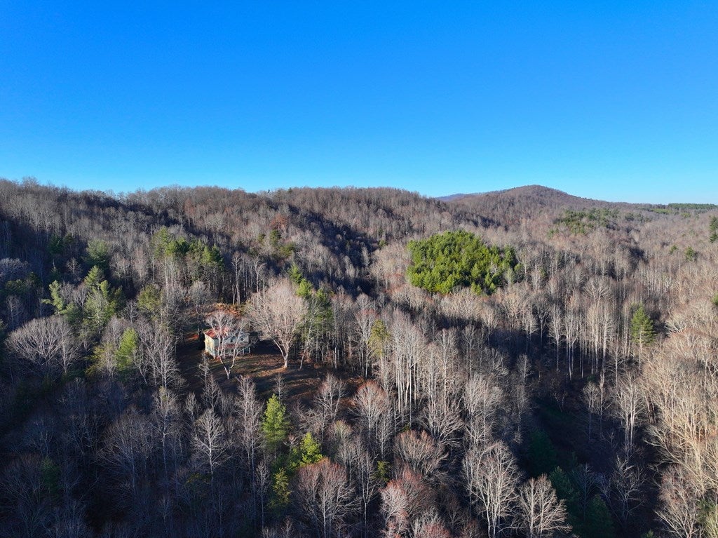 0 Pembrook Road Ferrum, VA 24088 - Photo 15 of 42 Gallery Image 15