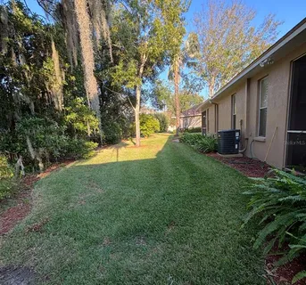 a view of a yard with plants and a large tree