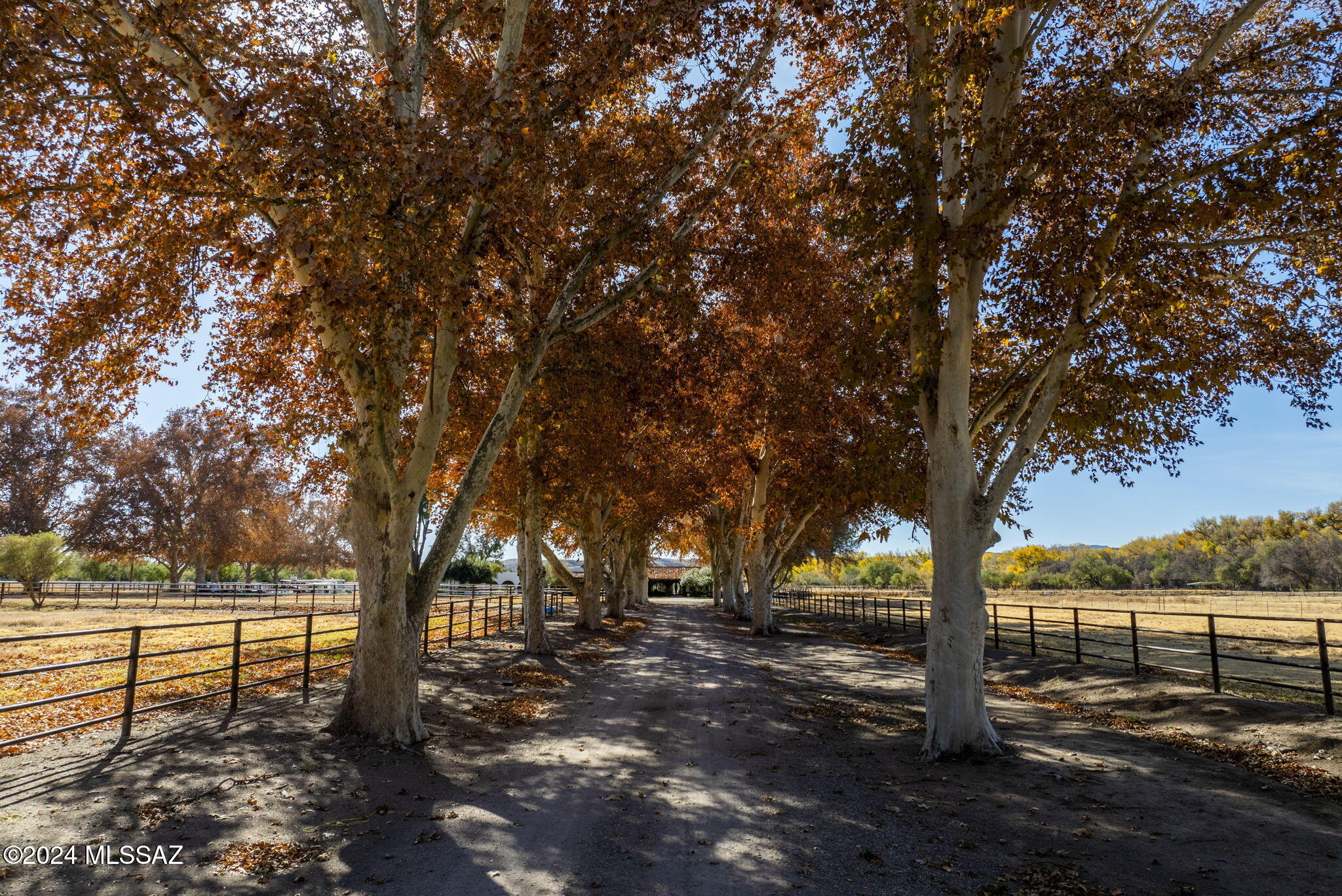 31 Santa Gertrudis Lane Rio Rico, AZ 85648 - Photo 10 of 50